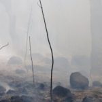 Incêndio_ Foto: Nelson Inácio