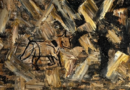 Galeria Porca Preta expõe pinturas que seguem o mote “do Lixo ao Luxo”