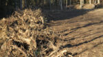 Limpeza de terreno - Foto-Estelle R_AdobeStock_312542013