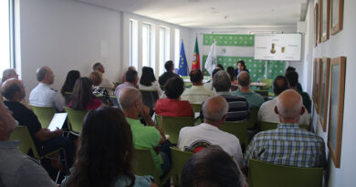 Conferência sobre o medronho na Artechique 2025 - Foto-Reprodução_Divulgação