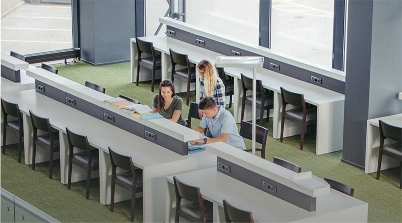 UAlg - Foto-Reprodução_Divulgação