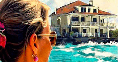 Livro "Casa de Sonho" - Foto-Reprodução_Divulgação