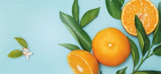 10.ª Mostra Silves Capital da Laranja - Foto-Reprodução_Divulgação