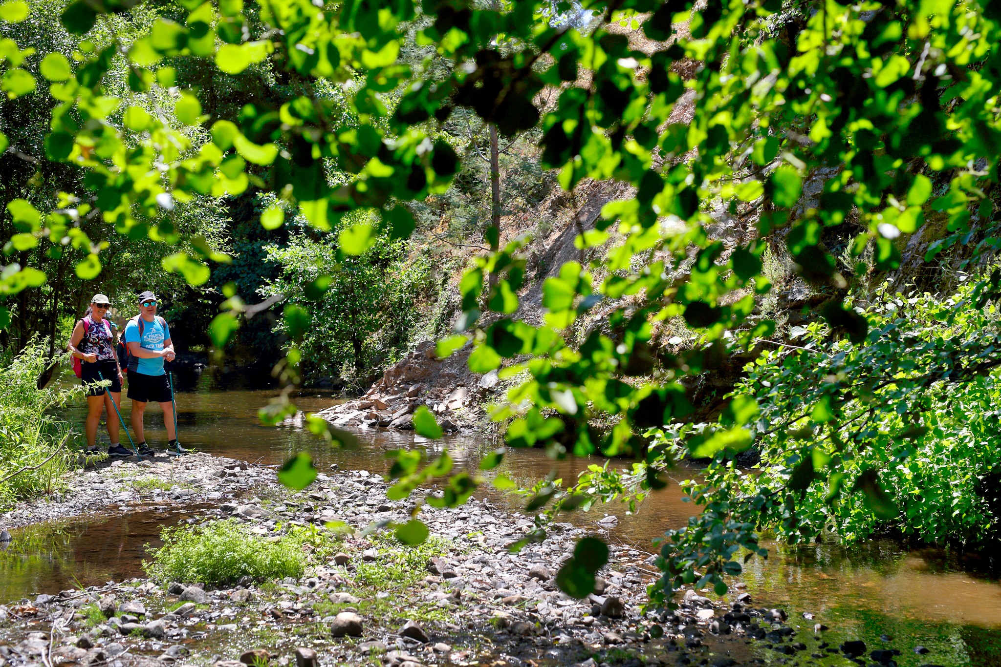 Pelas-Veredas-de-Monchique-Foto-Reproducao_Municipio-de-Monchique-Facebook