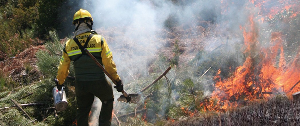 Seminário Fogo Controlado - Foto-Reprodução_Divulgação