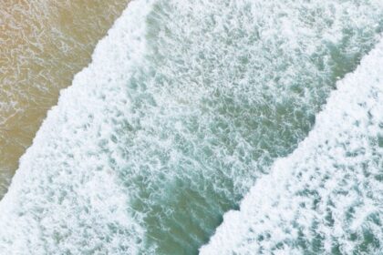 "Dois Olhares" - Foto-Reprodução_site vivaportimao.pt