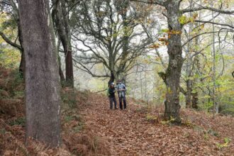 P’las Veredas de Monchique - Foto-Reprodução_Município de Monchique-Facebook