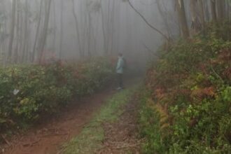 P´las Veredas de Monchique - Foto-Reprodução_Município de Monchique-Facebook