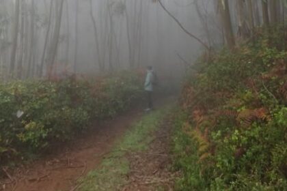 P´las Veredas de Monchique - Foto-Reprodução_Município de Monchique-Facebook