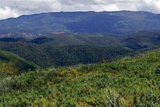 Serra de Monchique - Foto-Reprodução_Município de Monchique