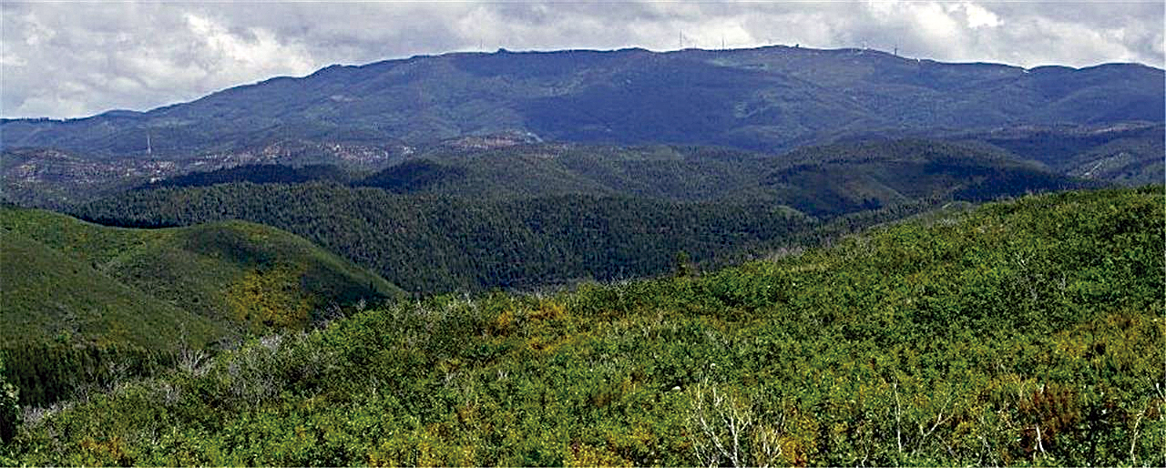 Serra de Monchique - Foto-Reprodução_Município de Monchique