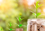 Economia e finanças - Foto-Reprodução_Município de Monchique