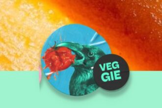 Umami Veggie Food Fest - Foto-Reprodução_site umamiveggie.pt