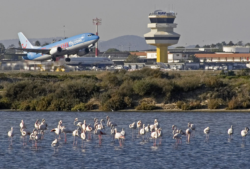 Aeroporto Gago Coutinho, em Faro - Foto-Reprodução_site visitalgarve.pt