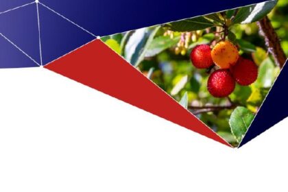Conferência sobre o medronho - Foto-Reprodução_Divulgação