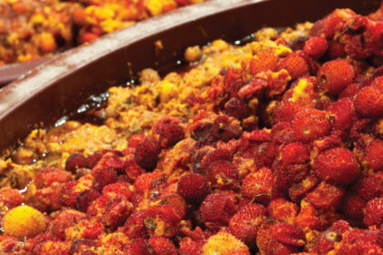 Fermentação do medronho - Foto-Reprodução_site jf-marmelete.pt