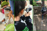Projeto Aprender a Comer - Foto-montagem sobre fotos Divulgação