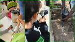 Projeto Aprender a Comer - Foto-montagem sobre fotos Divulgação