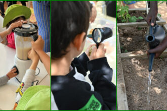 Projeto Aprender a Comer - Foto-montagem sobre fotos Divulgação