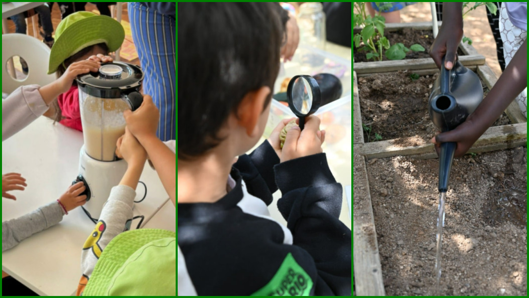 Projeto Aprender a Comer - Foto-montagem sobre fotos Divulgação
