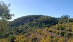 Cerro do Castelo da Nave, em Monchique - Foto-Reprodução_Município de Monchique