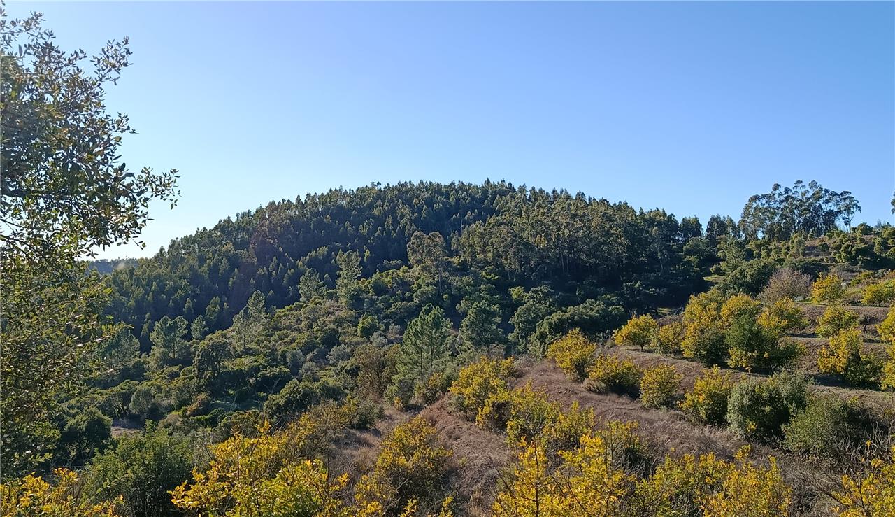 Cerro do Castelo da Nave, em Monchique - Foto-Reprodução_Município de Monchique