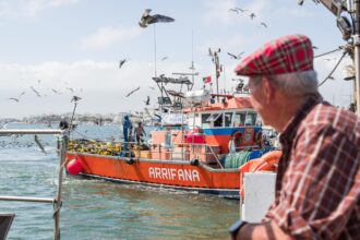 Descarga da Sardinha - Foto-Município de Portimão-Direitos reservados