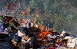 Incineradora de lixo - Foto-cgdeaw_AdobeStock_415392336