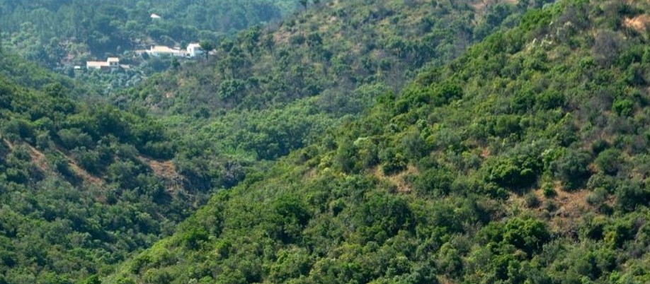 Monchique - Foto-Reprodução_Divulgação Almargem