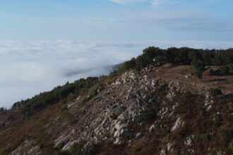Serra de Monchique - Foto-Reprodução_Município de Monchique