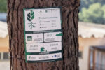 TreeTag - Foto - Reprodução_Município de Monchique