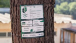 TreeTag - Foto - Reprodução_Município de Monchique