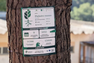 TreeTag - Foto - Reprodução_Município de Monchique
