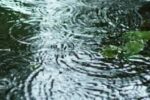 Água, chuva - Foto - Reprodução_Divulgação CMEPC-Portimão