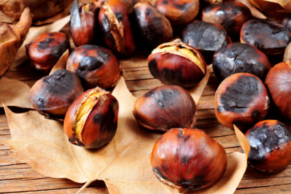 Castanhas - Foto-nito_AdobeStock_74044399
